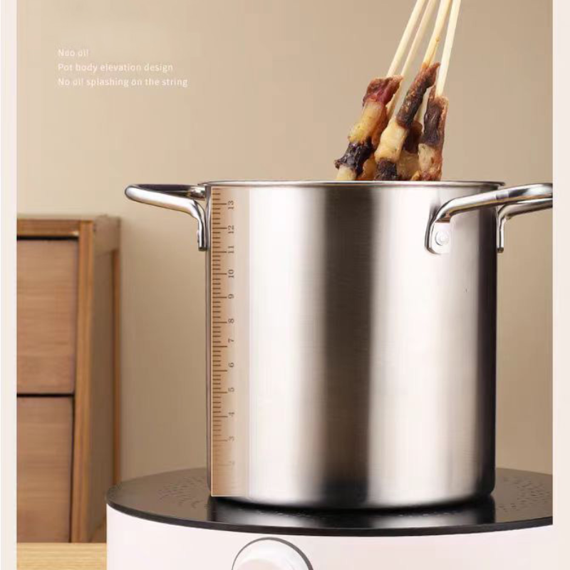 Friteuse 1PC304 roestvrij staa - Deep Fryer Stainless recensie en prijs